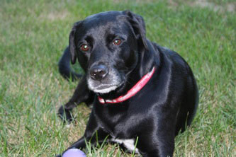 Bronx, Office Manager